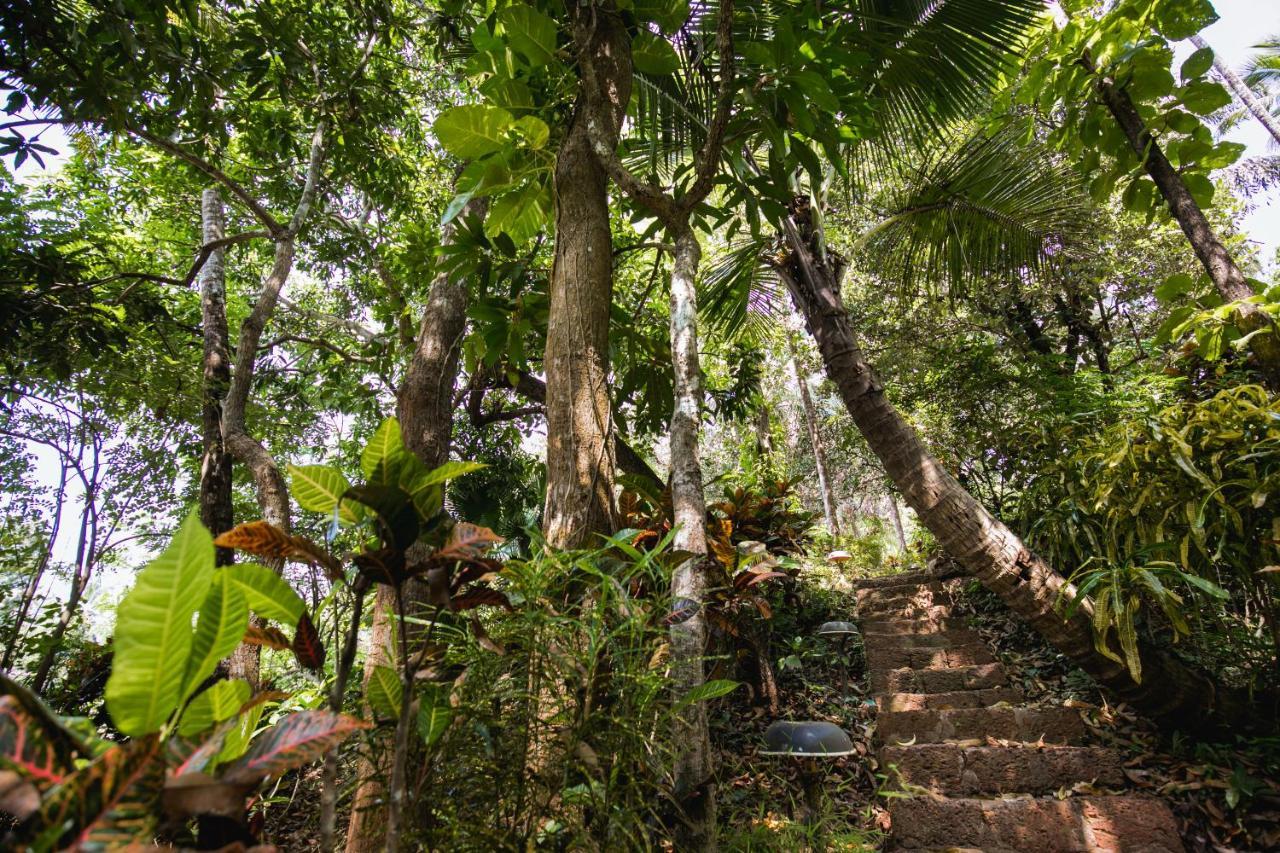 Casa Susegad Hotel Margao Eksteriør billede