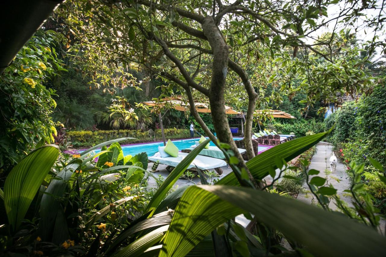 Casa Susegad Hotel Margao Eksteriør billede
